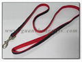 Dog collar and leash 3