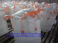 machine washing powder