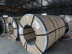 Hot rolled stainless steel coil AISI/SUS304