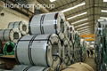 Cold rolled stainless steel sheet/coil