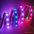 40leds SMD5050 digital led strip 1