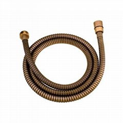 Archaize Shower Hose Series(DJ20001)