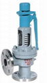 Spring loaded low lift type with lever safety valve  1