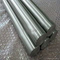 titanium rod 1