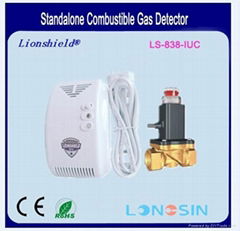 Gas leakage detector 