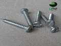 self-tapping screw