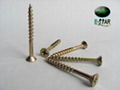 Chipboard Screws 2