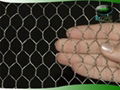 hexagonal wire mesh 1