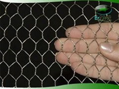 hexagonal wire mesh