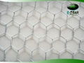 hexagonal wire mesh 3