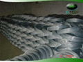 Galvanized Iron Wire