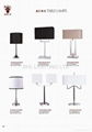 Table lamp,Floor lamp,Wall lamp 3