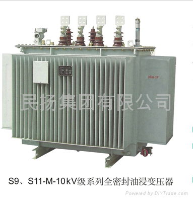 Totally enclosed oil-immersed transformer