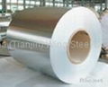 Stainless Steel Coil