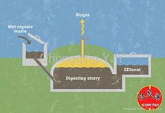 Sewage Treatment System