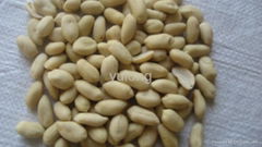 Chinese Blanched Peanut Kernel