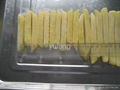 Chinese Frozen French Fries