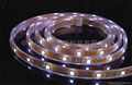 SMD 5050 30leds with water-proof tube