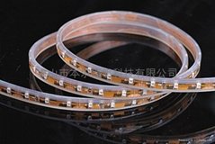 SMD 5050 60leds with water-proof tube