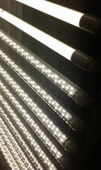 Led Tubes T8