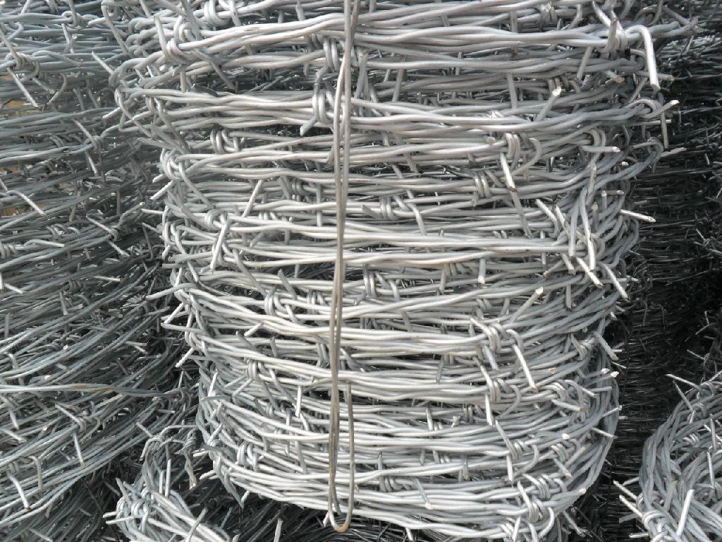 barbed wire  2
