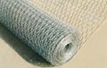 Hexagonal Wire Mesh 1