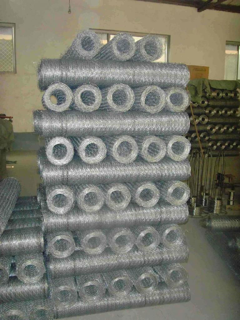 Hexagonal Wire Mesh 2