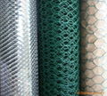 Hexagonal Wire Mesh 3