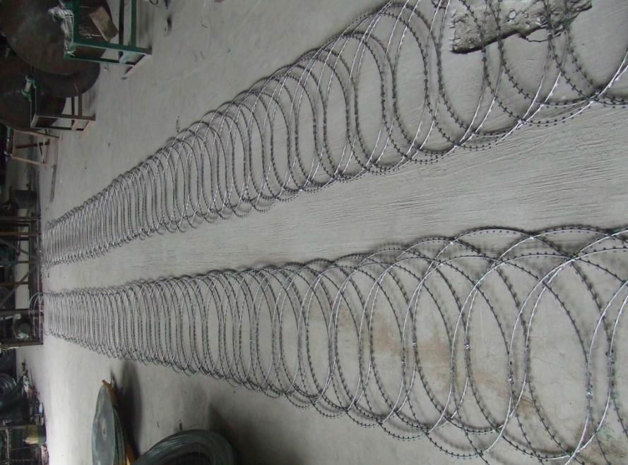 Razor Barbed Wire 3