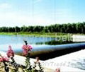 supply rubber dam