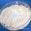 Titanium Dioxide