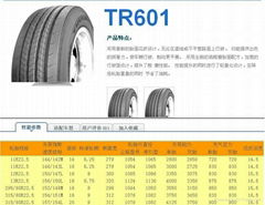 Triangle truck and Bus tyre 