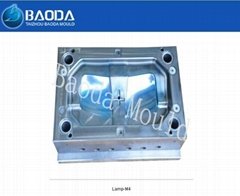chinese mould 