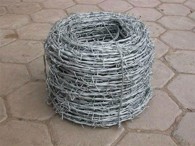 barbed wire 3