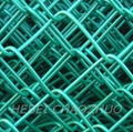 chain link fence 2