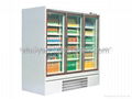 supermarket glass door freezer plug-in type Phoenix 1