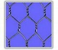 Hexagonal wire mesh