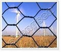 Hexagonal wire mesh 2