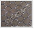 Hexagonal wire mesh 3