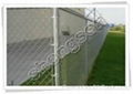 Chain Link Fence 1