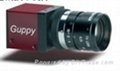 AVT GUPPY系列IEEE 1394数字摄像机