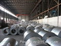 Hot-dipped Galvanized Steel Sheet Coil 2