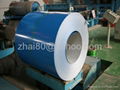 Pre-painted Steel Sheet Coil 1