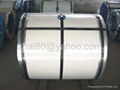 Pre-painted Steel Sheet Coil 2