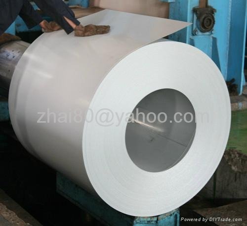 Color Coated Steel Sheet in Coil