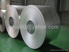 Galvalume Steel Sheet in Coil