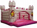 inflatable castle