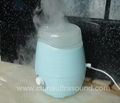 Ultrasonic Aroma Diffuser with Colorful