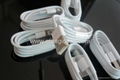 iPhone 5 8pin lightning to usb cable date sync charger 2