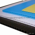 PP Corrugated Board